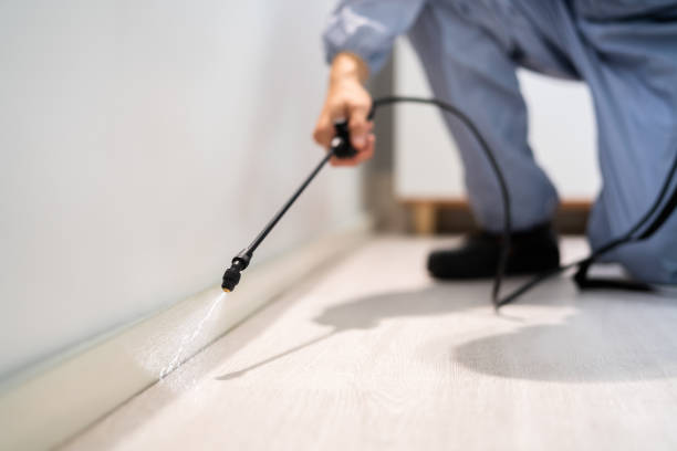 Professional exterminator conducting IPM assessment in Asotin